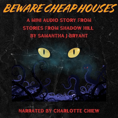 Beware Cheap Houses
