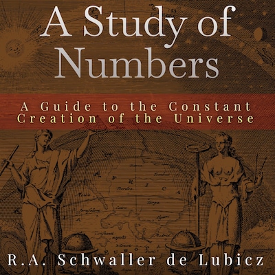 A Study of Numbers