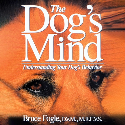 The Dog's Mind