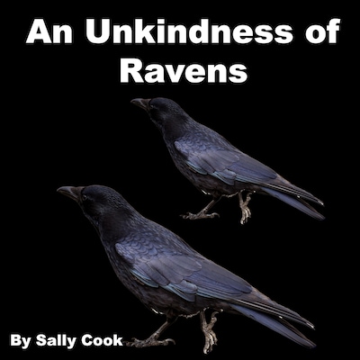 An Unkindness of Ravens