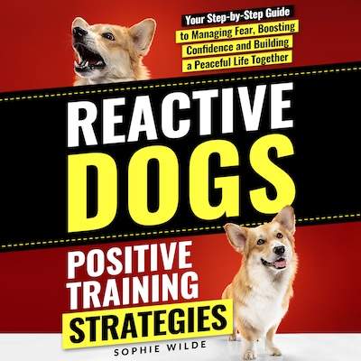 Reactive Dogs: Positive Training Strategies