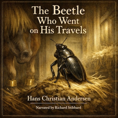 The Beetle Who Went On His Travels