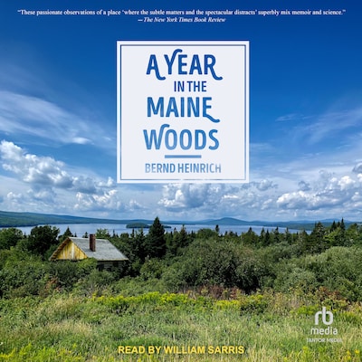 A Year In The Maine Woods