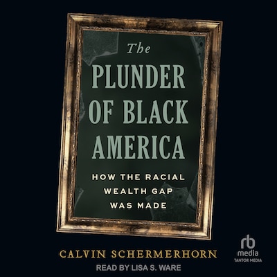 The Plunder of Black America