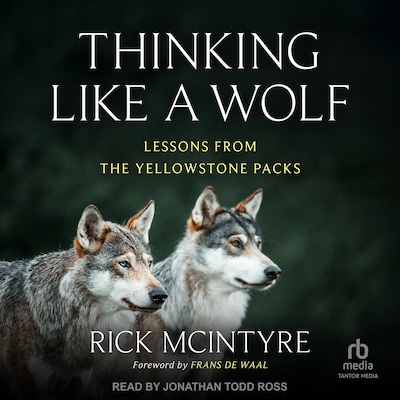 Thinking Like a Wolf