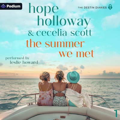 The Summer We Met
