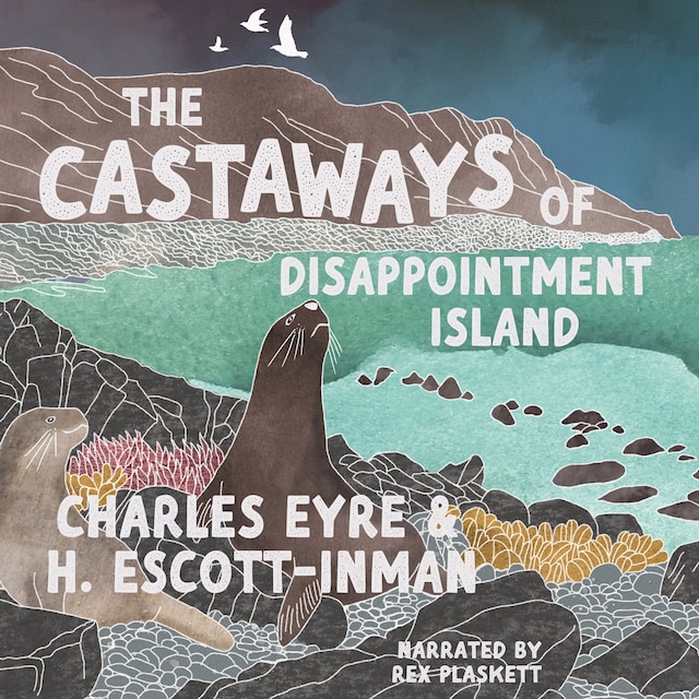 Book cover for The Castaways of Disappointment Island