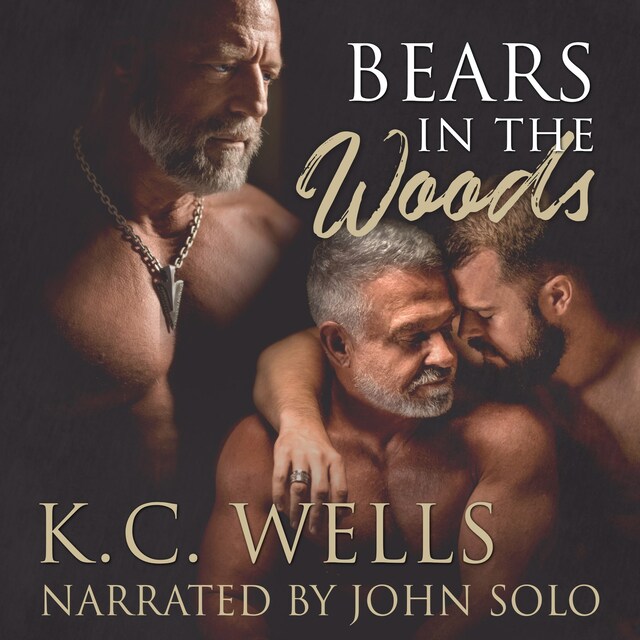 Book cover for Bears in the Woods