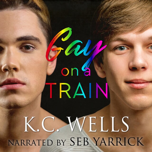 Bogomslag for Gay on a Train