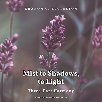 Mist to Shadow, To Light
