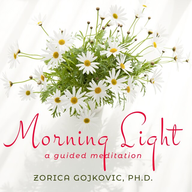 Book cover for Morning Light
