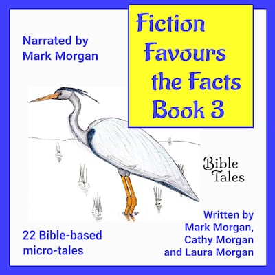 Fiction Favours the Facts – Book 3