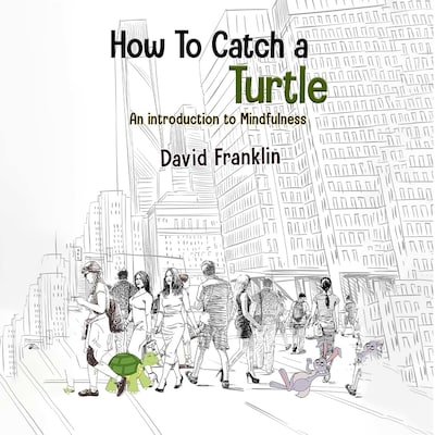 How to Catch a Turtle