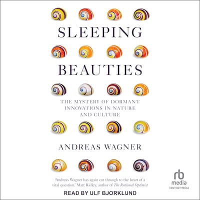 Sleeping Beauties