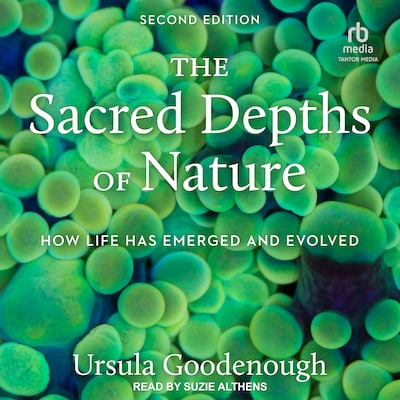 The Sacred Depths of Nature
