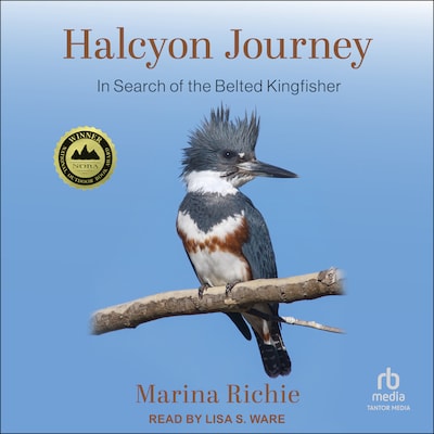 Halcyon Journey