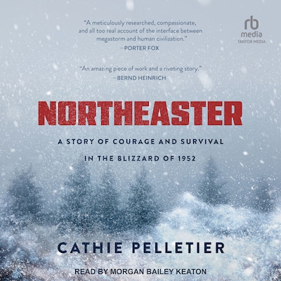 Northeaster