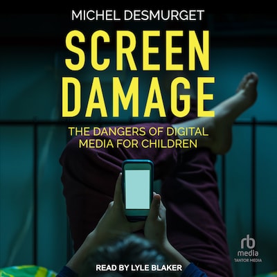 Screen Damage