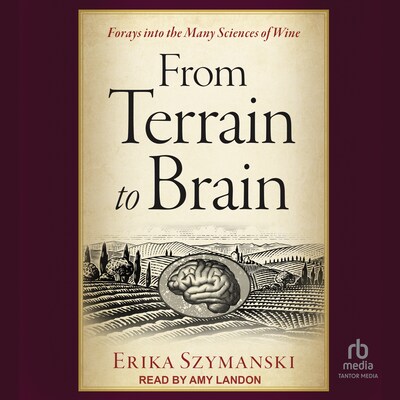 From Terrain to Brain
