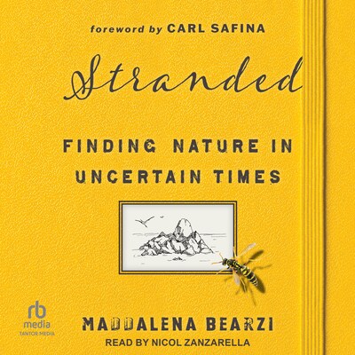 Stranded