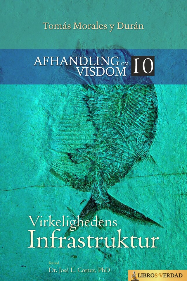 Book cover for Virkelighedens Infrastruktur