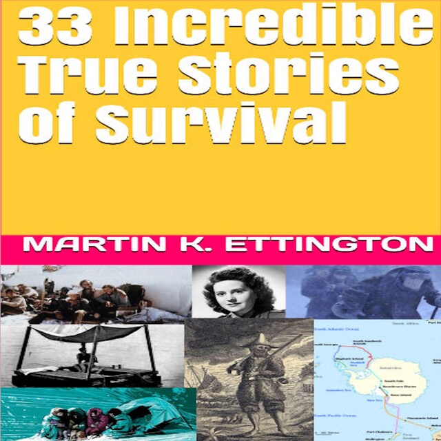 Bokomslag for 33 Incredible True Stories of Survival