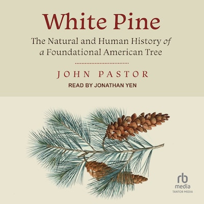 White Pine