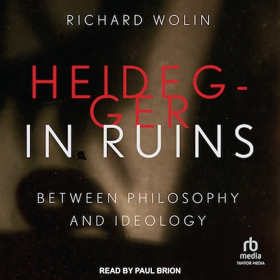 Heidegger in Ruins