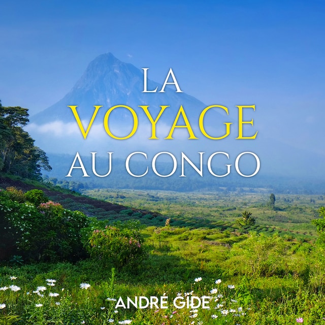 Copertina del libro per Voyage au Congo