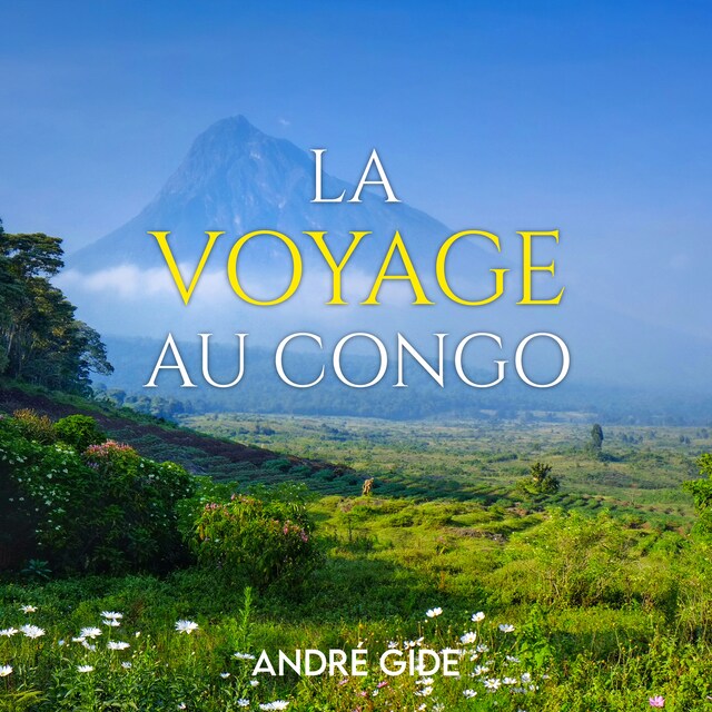 Buchcover für Voyage au Congo