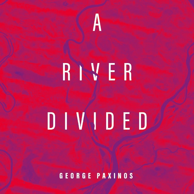 Buchcover für A River Divided