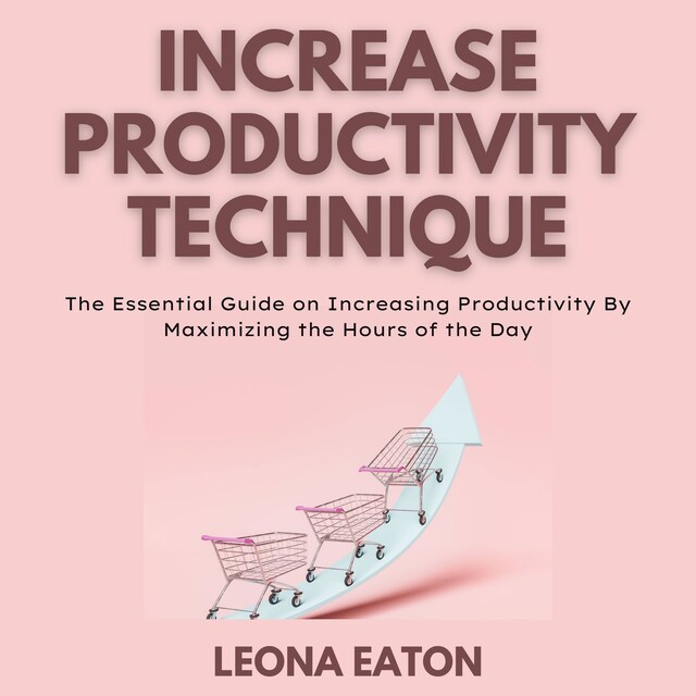 Bokomslag för Increase Productivity Technique