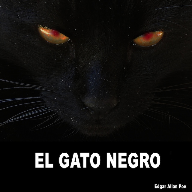 Buchcover für EL Gato Negro