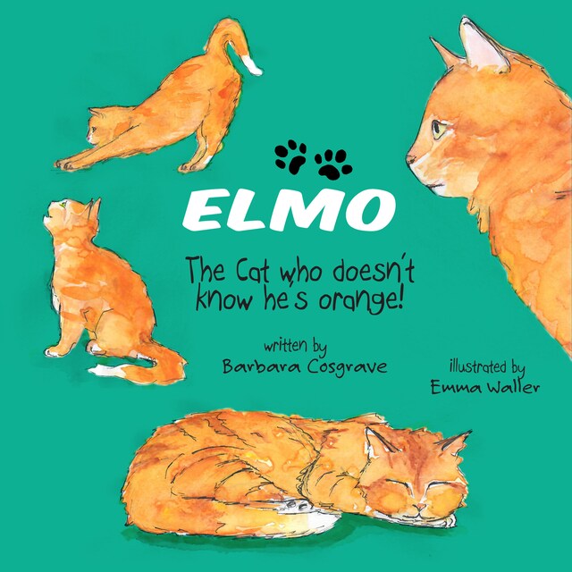 Copertina del libro per Elmo