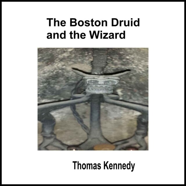 Book cover for The Boston Druid and the Wizard