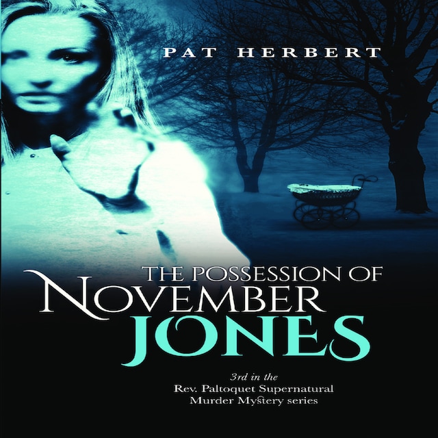 Book cover for The Possession of November Jones: 3 (Reverend Paltoquet Mystery Series)