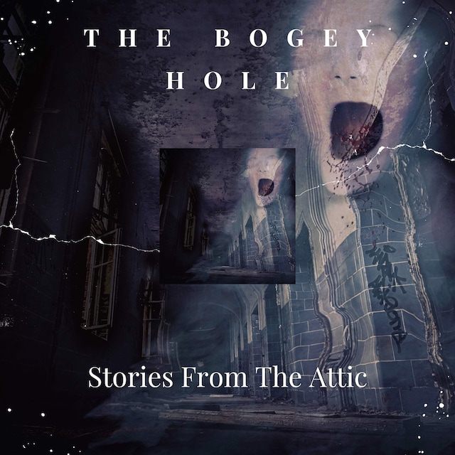 Book cover for The Bogey Hole
