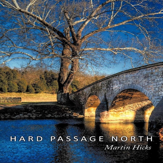 Book cover for Hard Passage North