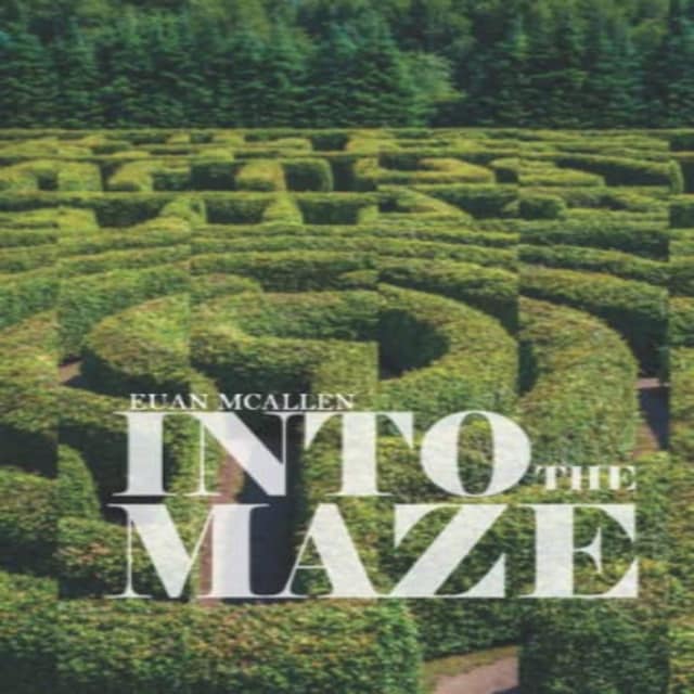 Book cover for Into the Maze