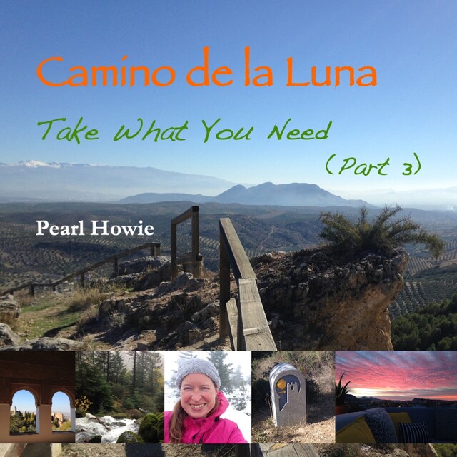 Buchcover für Camino de la Luna - Take What You Need (Part 3)