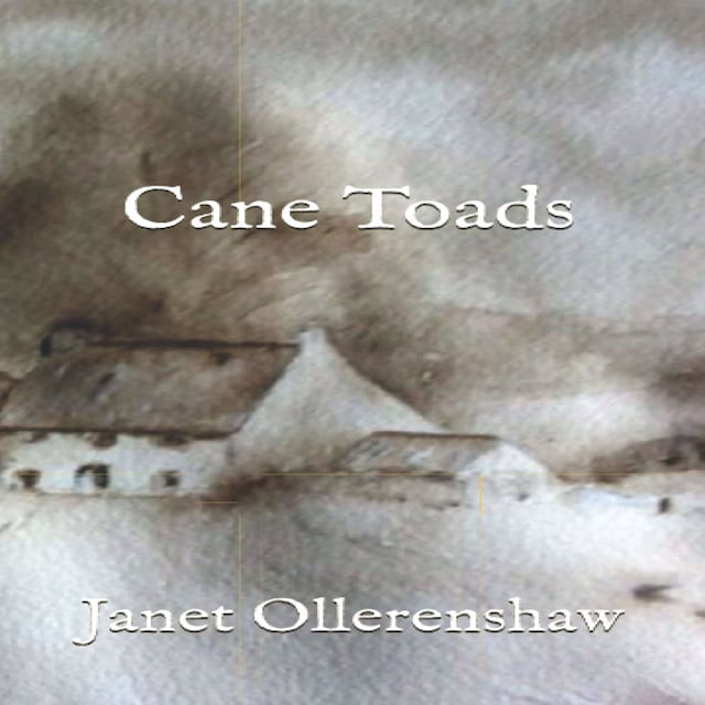 Kirjankansi teokselle Cane Toads