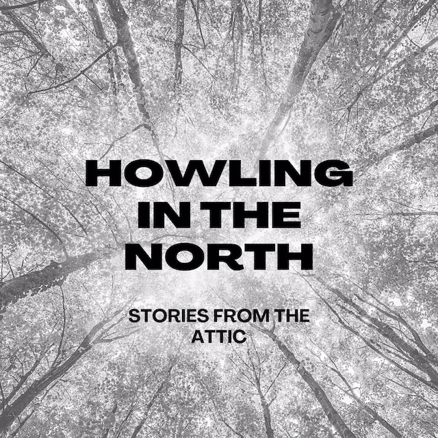 Boekomslag van Howling In The North