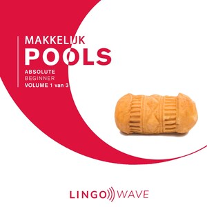 Makkelijk Pools - Absolute beginner - Volume 1 van 3 - luisterboek