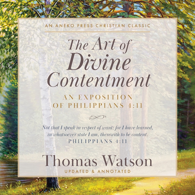 Buchcover für The Art of Divine Contentment