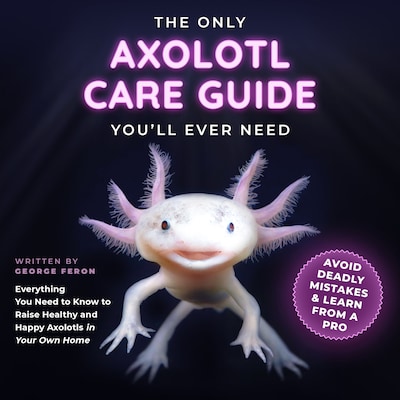 The Only Axolotl Care Guide You'll Ever Need
