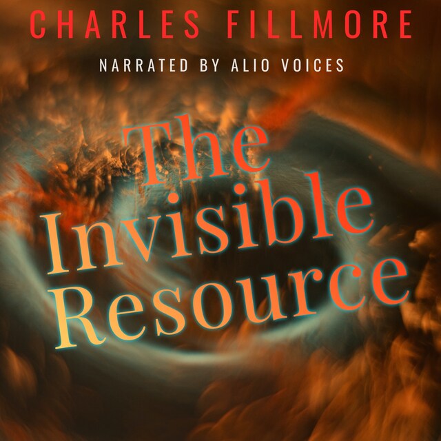 Boekomslag van The Invisible Resource