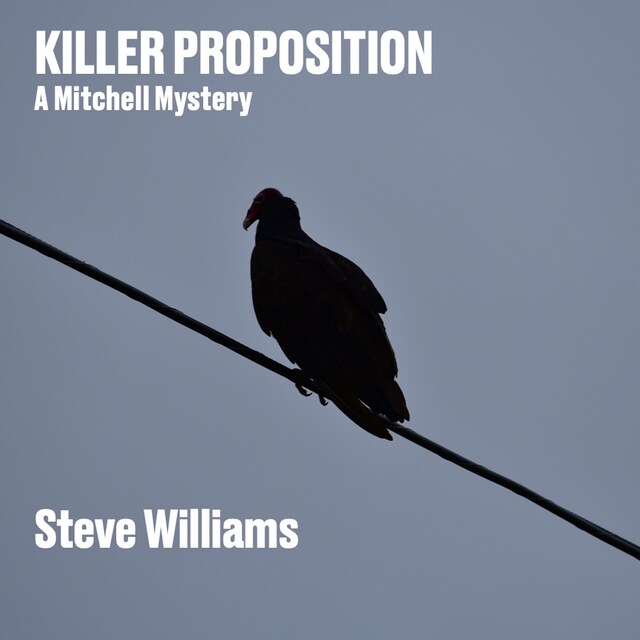 Book cover for Killer Proposition