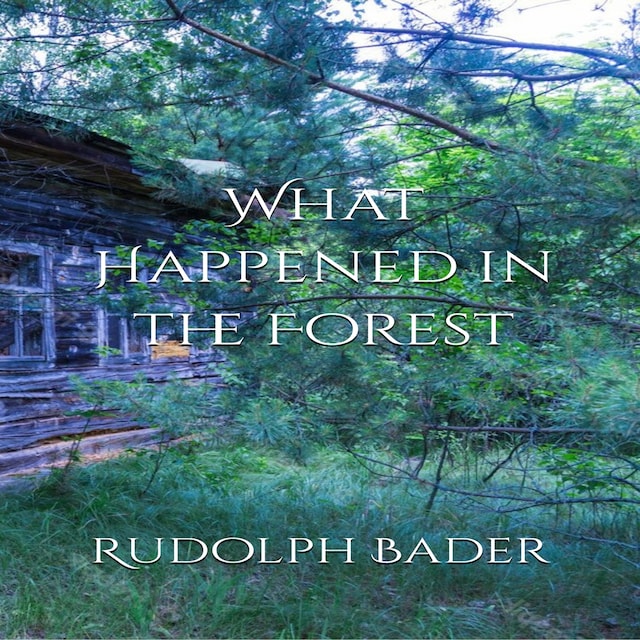 Book cover for What Happened in the Forest
