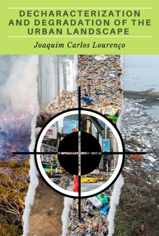 Book cover for Decharacterization And Degradation Of The Urban Landscape
