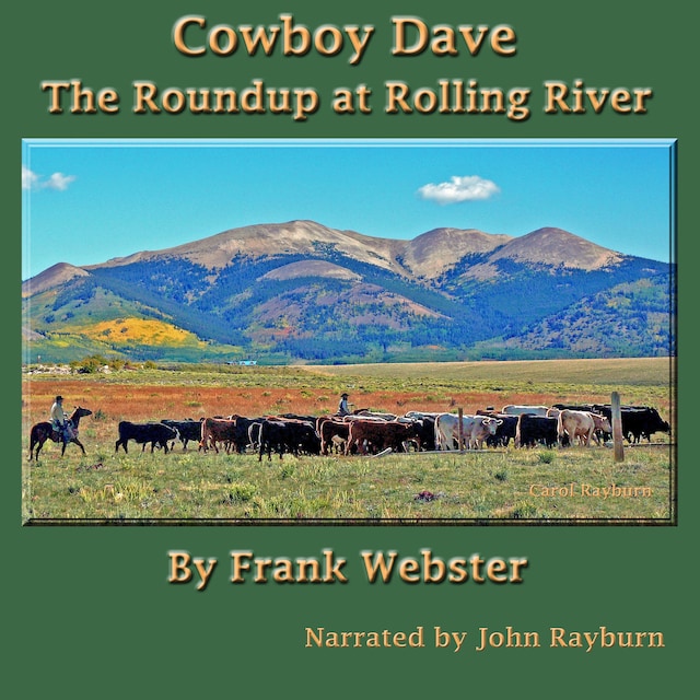 Book cover for Cowboy Dave